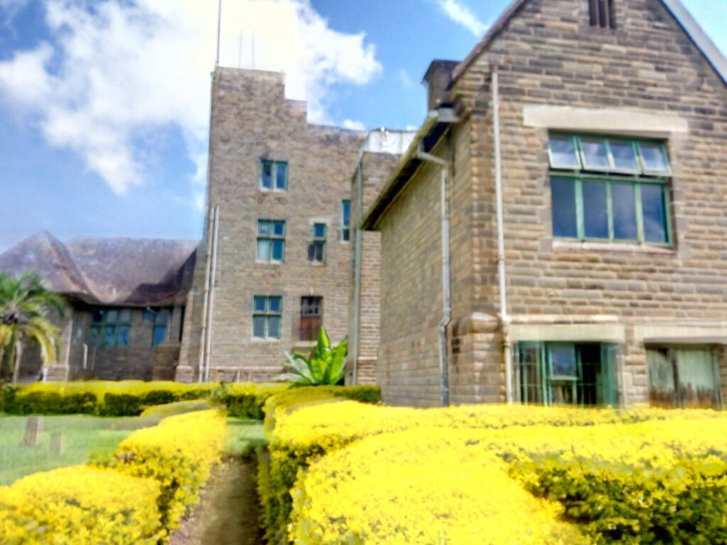 Lord Egerton Castle, Ngata