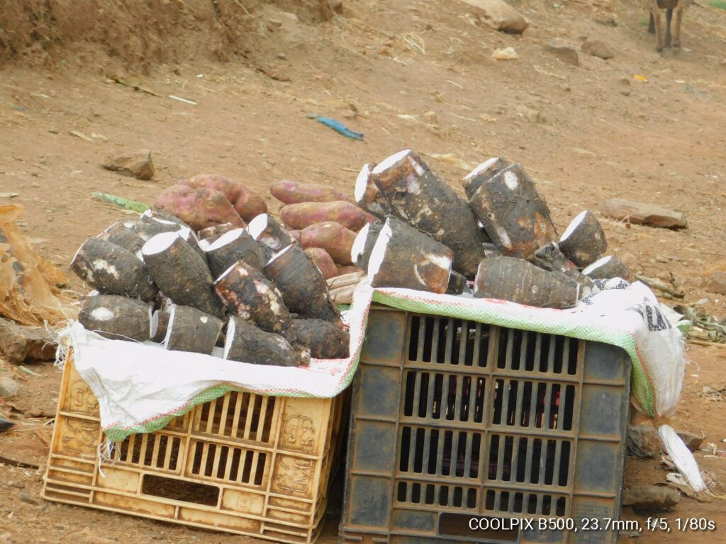 Arrow roots for sale in Ndunduri centre