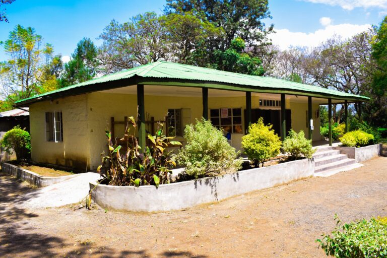 Hyrax Hill Museum
