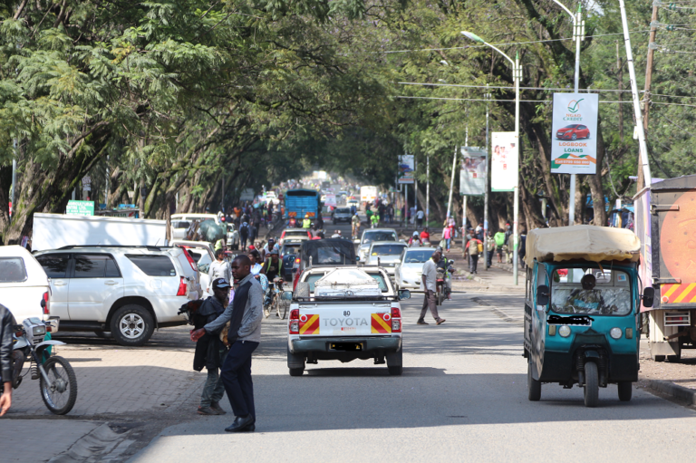 Jacarandas along Nakuru Oginga Odinga street